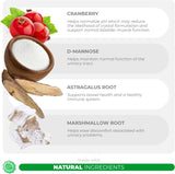 COCO AND LUNA - Coco and Luna Cranberry for Dogs Urinary Tract Support 90 Masticables - The Red Vitamin MX - Salud De Tracto Urinario Para Perros - {{ shop.shopifyCountryName }}