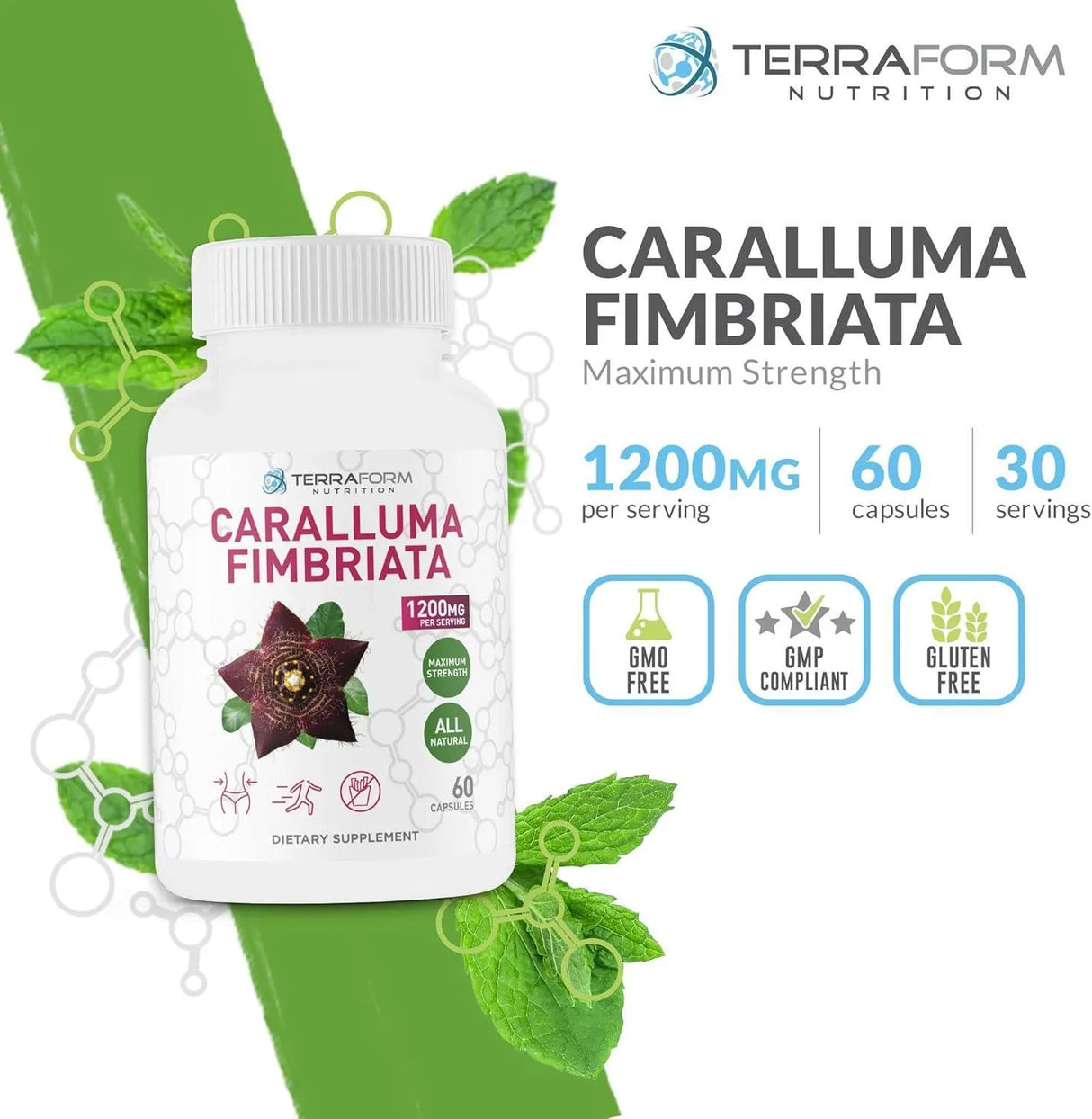 TERRAFORM NUTRITION - TerraForm Nutrition Caralluma Fimbriata 1200Mg. 60 Capsulas - The Red Vitamin MX - Suplementos Alimenticios - {{ shop.shopifyCountryName }}