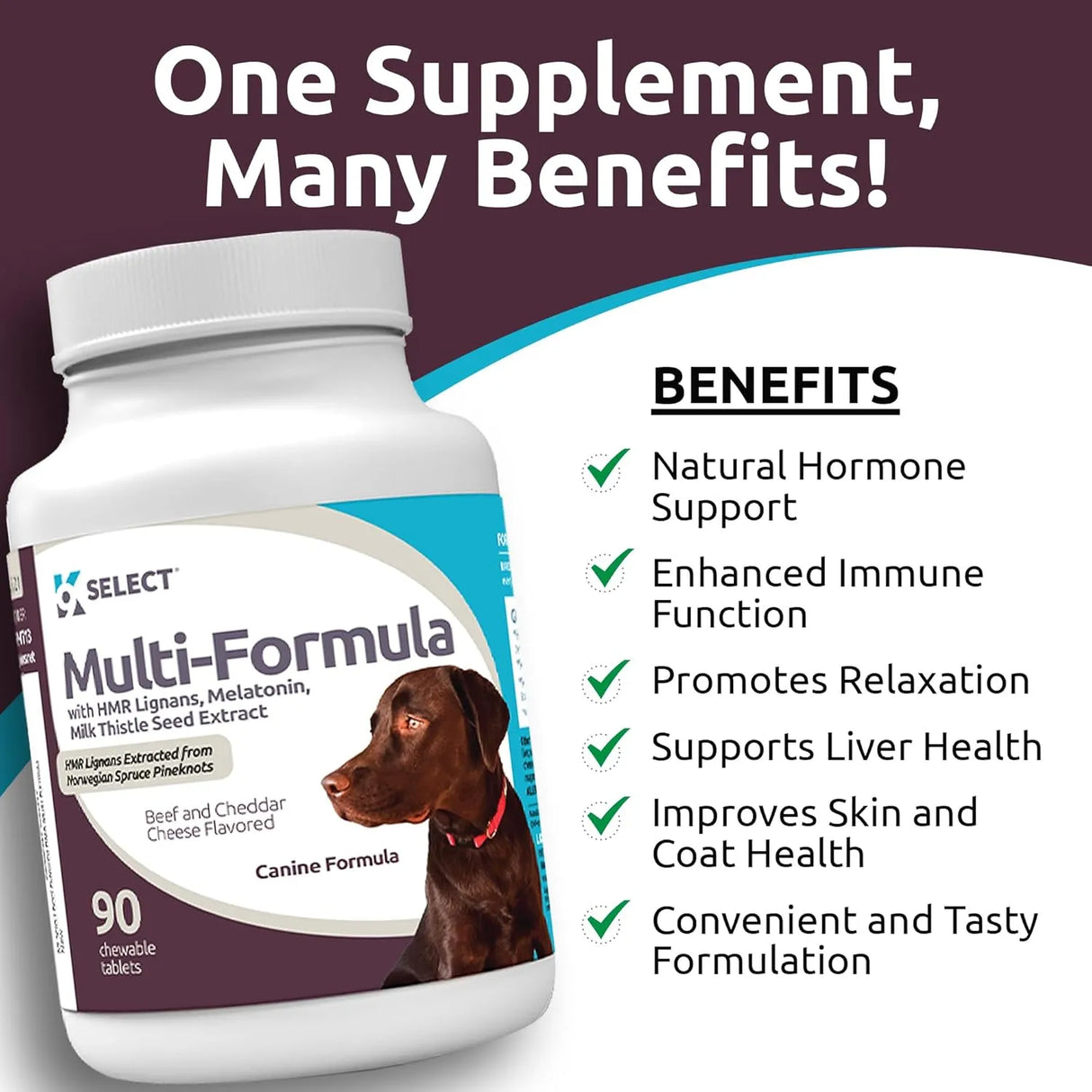 K9 SELECT - K9 Select Multi-Formula Dog Vitamins for Large Dogs Beef Flavor 90 Tabletas - The Red Vitamin MX - Multivitamínicos Para Perros - {{ shop.shopifyCountryName }}