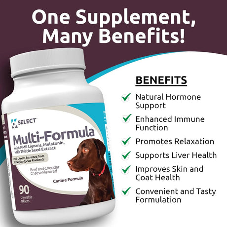 K9 SELECT - K9 Select Multi-Formula Dog Vitamins for Large Dogs Beef Flavor 90 Tabletas - The Red Vitamin MX - Multivitamínicos Para Perros - {{ shop.shopifyCountryName }}