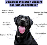 Kayode Ultimate Digestion Fast Facting Anti Diarrhea for Dogs 90 Masticables