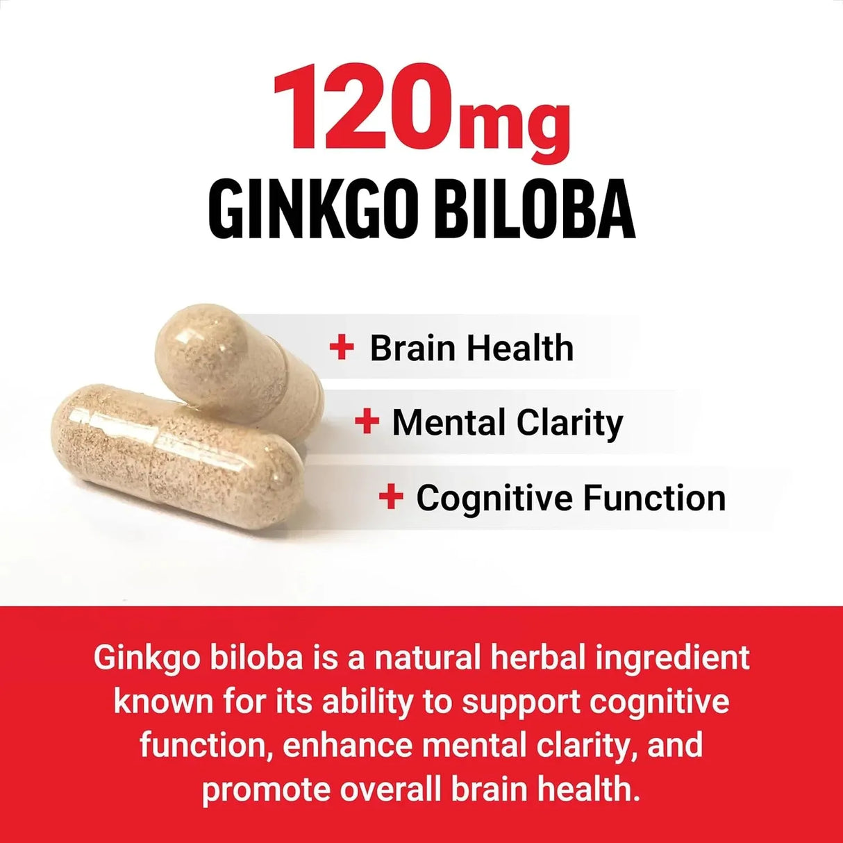 FORCE FACTOR - FORCE FACTOR Ginkgo Biloba 120Mg. 120 Capsulas - The Red Vitamin MX - Suplementos Alimenticios - {{ shop.shopifyCountryName }}