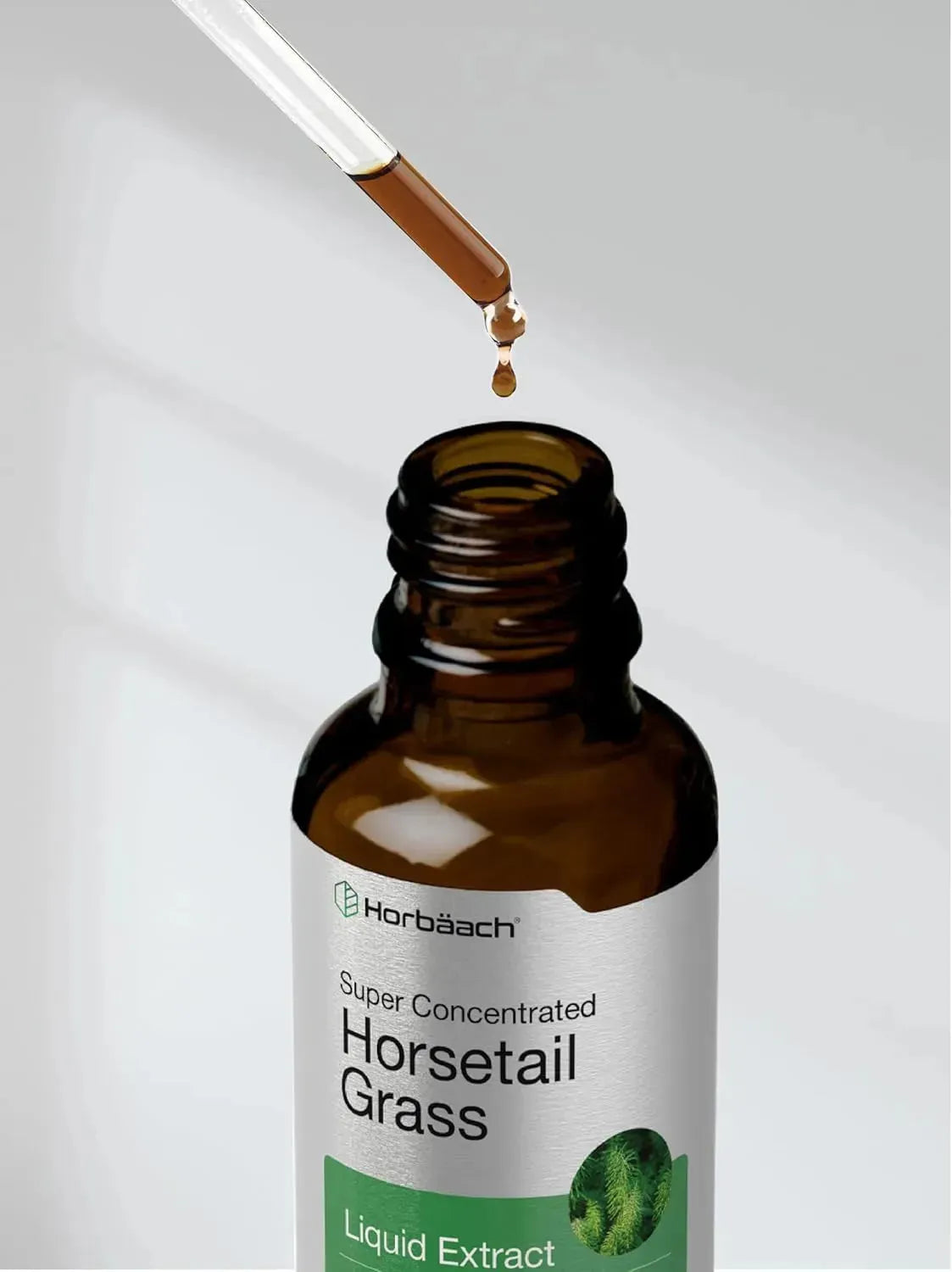 HORBAACH - Horbaach Horsetail Herb Liquid Extract 2 Fl.Oz. - The Red Vitamin MX - Suplementos Alimenticios - {{ shop.shopifyCountryName }}