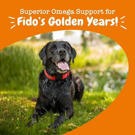 ZESTY PAWS - Zesty Paws Senior Advanced Omega Bites Skin Health 90 Masticables - The Red Vitamin MX - Aceite De Pescado Para Perros - {{ shop.shopifyCountryName }}