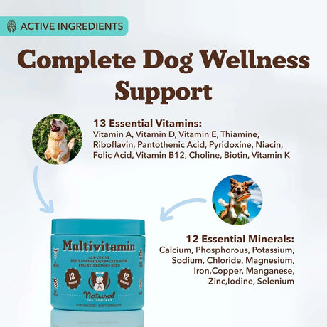NATURAL DOG - Natural Dog Company Multivitamin Chews 90 Masticables - The Red Vitamin MX - Multivitamínicos Para Perros - {{ shop.shopifyCountryName }}