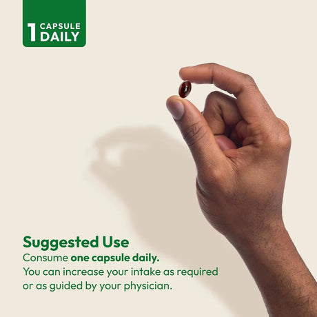 ANDREW LESSMAN - ANDREW LESSMAN Prostate Support 60 Capsulas - The Red Vitamin MX - Suplementos Alimenticios - {{ shop.shopifyCountryName }}