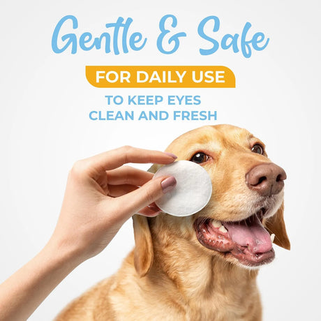 VETWIPE - VetWipe Dog Eye Wipes 100 Toallitas - The Red Vitamin MX - Cuidado De Los Ojos De Los Perros - {{ shop.shopifyCountryName }}