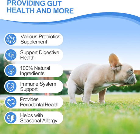 COLEAZE - ColEaze Probiotics for Dogs 150 Masticables - The Red Vitamin MX - Probióticos Para Perros - {{ shop.shopifyCountryName }}