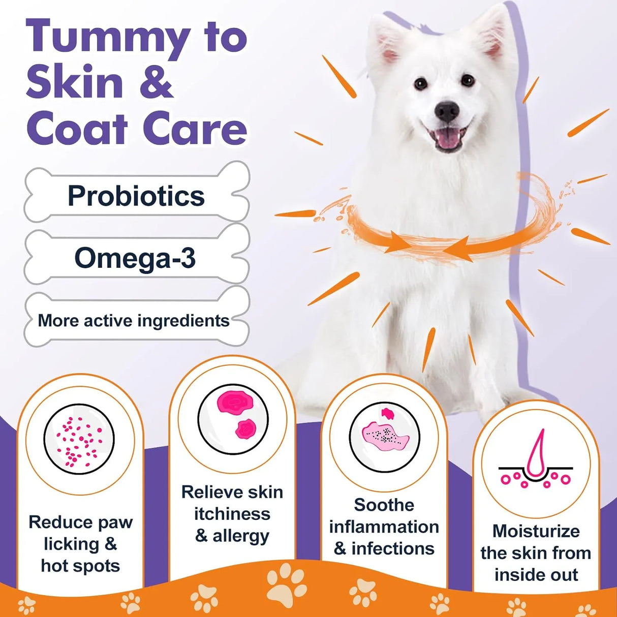 DR FOSTER - DR FOSTER Probiotics for Dogs 120 Masticables - The Red Vitamin MX - Probióticos Para Perros - {{ shop.shopifyCountryName }}