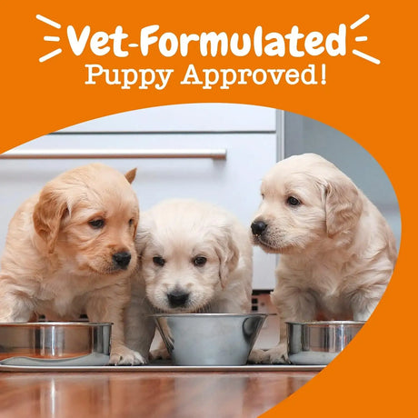 ZESTY PAWS - Zesty Paws Puppy Milk Replacer + Colostrum 338Gr. - The Red Vitamin MX - Sustitutos De Leche Para Perros - {{ shop.shopifyCountryName }}
