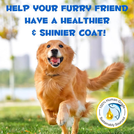 OIMMAL - Oimmal Alaskan Salmon Oil for Dogs & Cats 250Ml. - The Red Vitamin MX - Aceite De Pescado Para Perros - {{ shop.shopifyCountryName }}