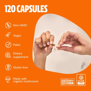 FRESHCAP - FreshCap 7-in-1 Immune Support Turkey Tail Mushroom and Elderberry 120 Capsulas - The Red Vitamin MX - Suplementos Alimenticios - {{ shop.shopifyCountryName }}