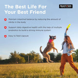 NUTRI-VET - Nutri-Vet Probiotics Capsules for Dogs 60 Capsulas - The Red Vitamin MX - Probióticos Para Perros - {{ shop.shopifyCountryName }}