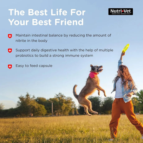 NUTRI-VET - Nutri-Vet Probiotics Capsules for Dogs 60 Capsulas - The Red Vitamin MX - Probióticos Para Perros - {{ shop.shopifyCountryName }}