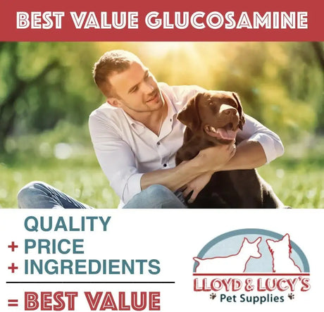 LLOYD & LUCY'S - Lloyd & Lucy's Hip and Joint Supplement for Dogs 180 Tabletas Masticables - The Red Vitamin MX - Cuidado De Cadera Y Articulaciones Para Perros - {{ shop.shopifyCountryName }}