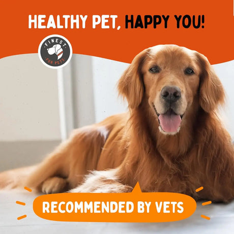 FINEST FOR PETS - Finest For Pets Rejenease Liquid Glucosamine for Dogs 32 Fl.Oz. - The Red Vitamin MX - Cuidado De Cadera Y Articulaciones Para Perros - {{ shop.shopifyCountryName }}