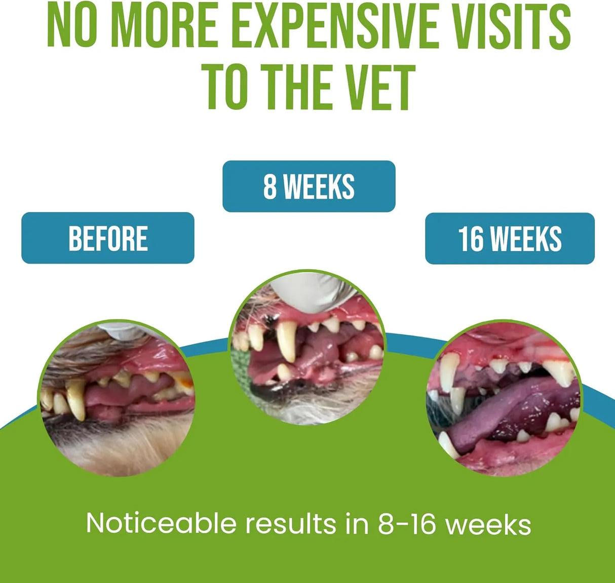 CANICLEAN - Caniclean Tartar Remover for Dogs 100Gr. - The Red Vitamin MX - Cuidado Dental Para Perros - {{ shop.shopifyCountryName }}