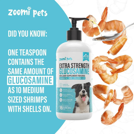 ZOOMI PETS - Zoomi Pets Liquid Glucosamine for Dogs 16 Fl.Oz. - The Red Vitamin MX - Cuidado De Cadera Y Articulaciones Para Perros - {{ shop.shopifyCountryName }}