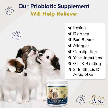 WNZ HEALTH - WNz Health Probiotics for Dogs Digestive Health Chicken & Bacon 180 Servicios - The Red Vitamin MX - Probióticos Para Perros - {{ shop.shopifyCountryName }}