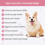 NOORATAIL - NooraTail 8-in-1 Dog Multivitamin 50 Masticables - The Red Vitamin MX - Multivitamínicos Para Perros - {{ shop.shopifyCountryName }}
