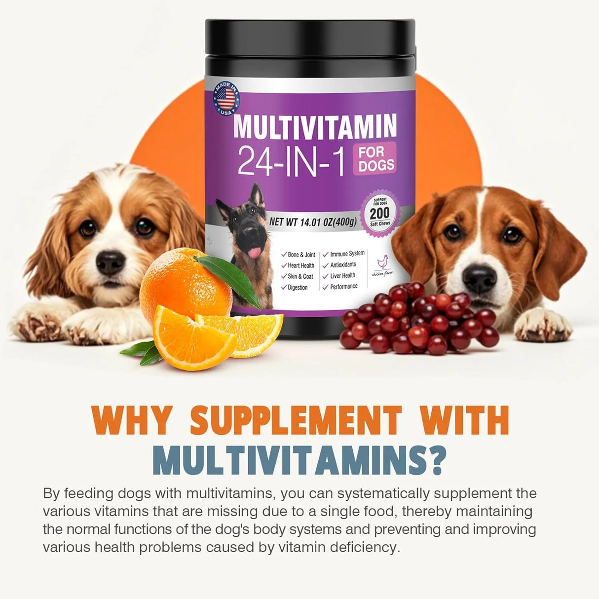 TTLXBL - TTLXBL 24-in-1 Dog Vitamins 200 Masticables - The Red Vitamin MX - Multivitamínicos Para Perros - {{ shop.shopifyCountryName }}