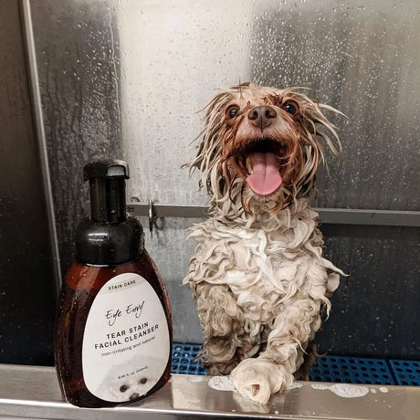 EYE ENVY - Eye Envy Tear Stain Facial Cleanser for Dogs and Cats 250Ml. - The Red Vitamin MX - Cuidado De Los Ojos De Los Perros - {{ shop.shopifyCountryName }}