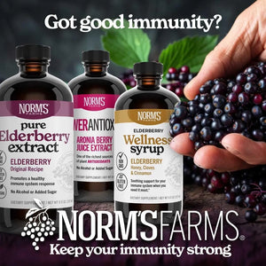 NORM'S FARMS - Norm's Farms American Elderberry Extract 237Ml. - The Red Vitamin MX - Suplementos Alimenticios - {{ shop.shopifyCountryName }}