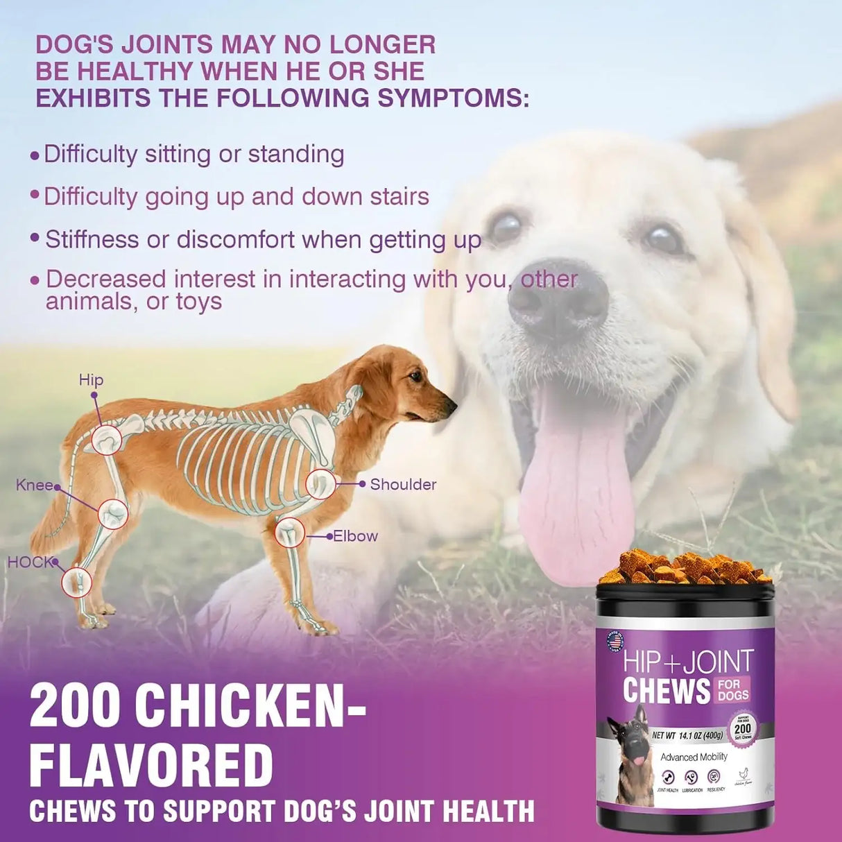 TTLXRL - TTLXRL Hip and Joint Glucosamine for Dogs 200 Masticables - The Red Vitamin MX - Cuidado De Cadera Y Articulaciones Para Perros - {{ shop.shopifyCountryName }}