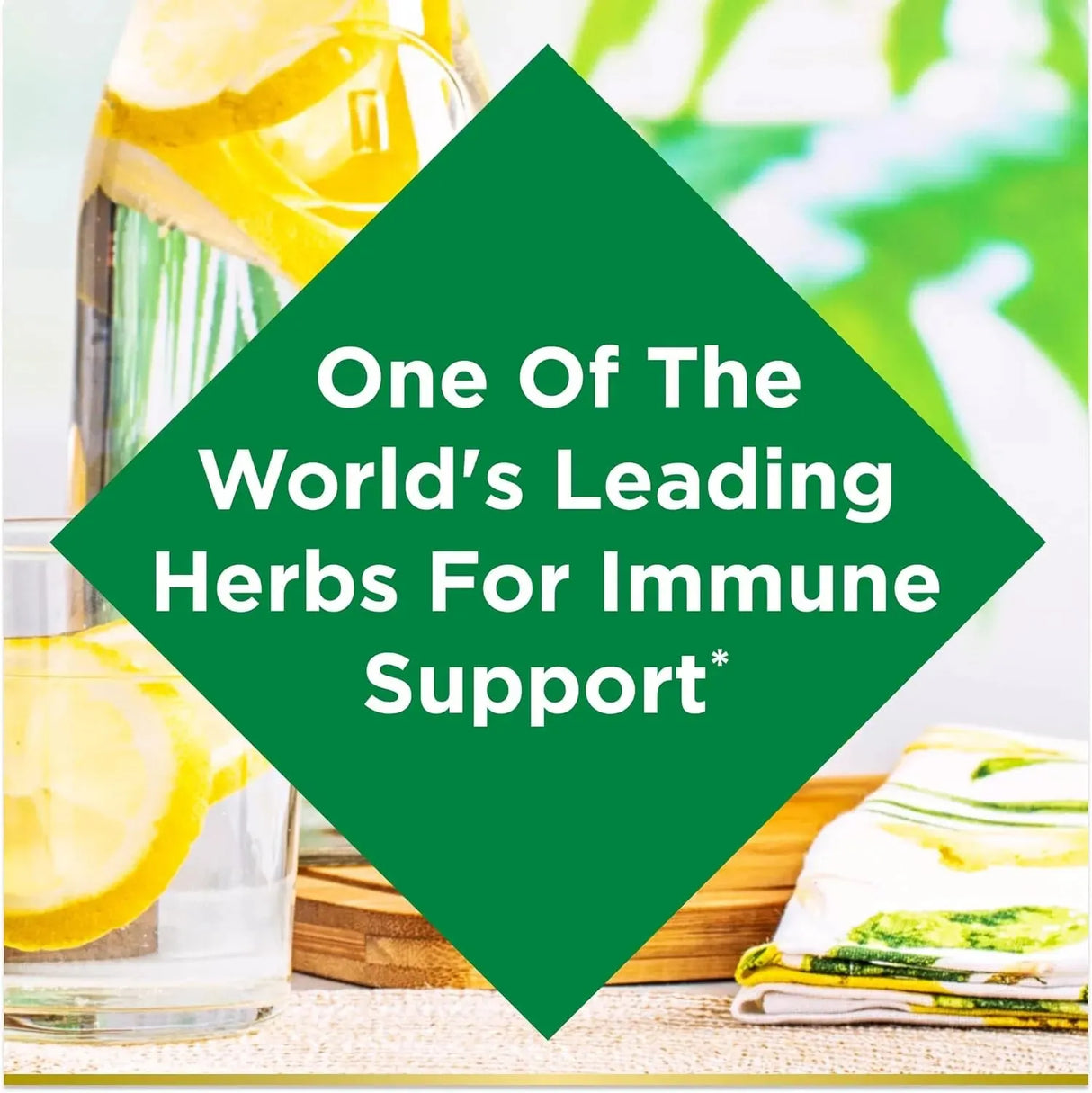 NATURE'S BOUNTY - Nature's Bounty Echinacea 400Mg. 100 Capsulas - The Red Vitamin MX - Suplementos Alimenticios - {{ shop.shopifyCountryName }}