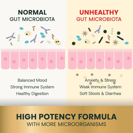 VETRISCIENCE - VetriScience Extra Strength Gut Health Probiotic & Prebiotic 120 Capsulas - The Red Vitamin MX - Probióticos Para Perros - {{ shop.shopifyCountryName }}