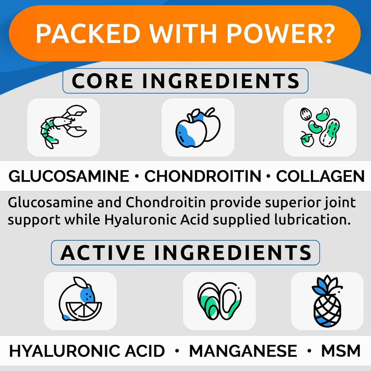 BARK&SPARK Liquid Collagen + Glucosamine for Dogs 16 Fl.Oz.