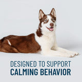 NUTRAMAX - Nutramax Solliquin Calming Behavioral Health Supplement for Large Dogs 75 Masticables - The Red Vitamin MX - Relajantes Para Perros - {{ shop.shopifyCountryName }}