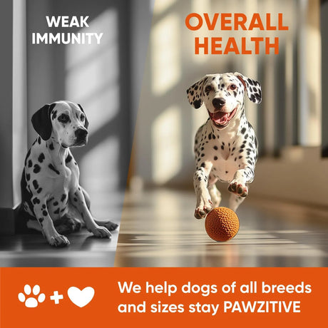 PAWZITIVE PETS - Pawzitive Pets Dog Multivitamin Chews 120 Masticables - The Red Vitamin MX - Multivitamínicos Para Perros - {{ shop.shopifyCountryName }}