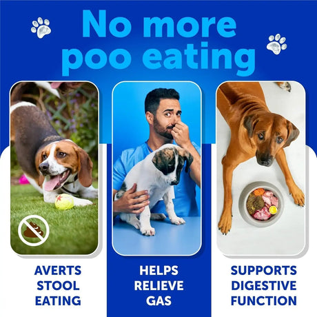 ARTULLANO - Artullano No Poo Chews for Dogs 120 Masticables - The Red Vitamin MX - Probióticos Para Perros - {{ shop.shopifyCountryName }}