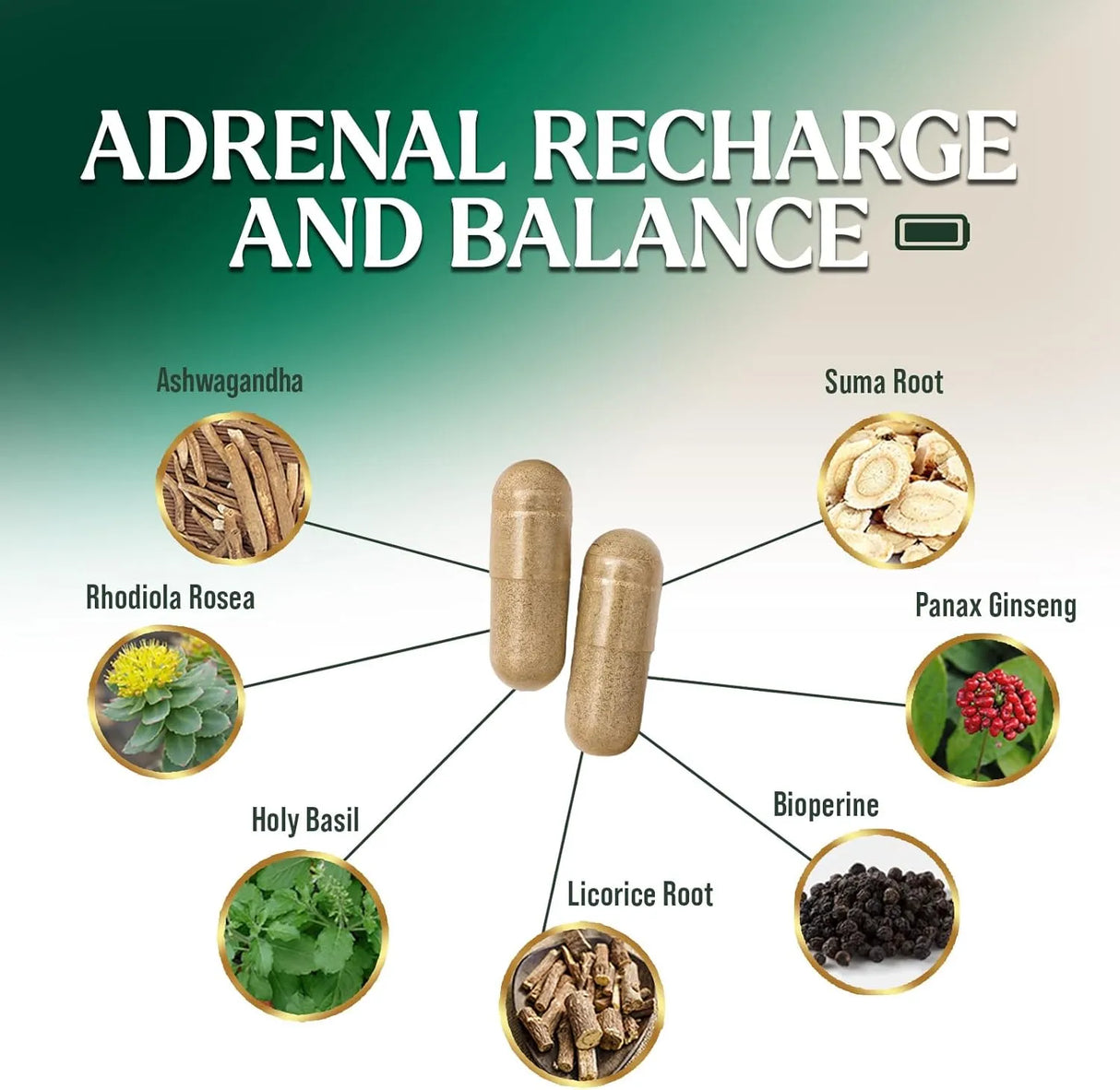 NATURE'S NUTRITION - Nature's Nutrition Adrenal Support 120 Capsulas - The Red Vitamin MX - Suplementos Alimenticios - {{ shop.shopifyCountryName }}