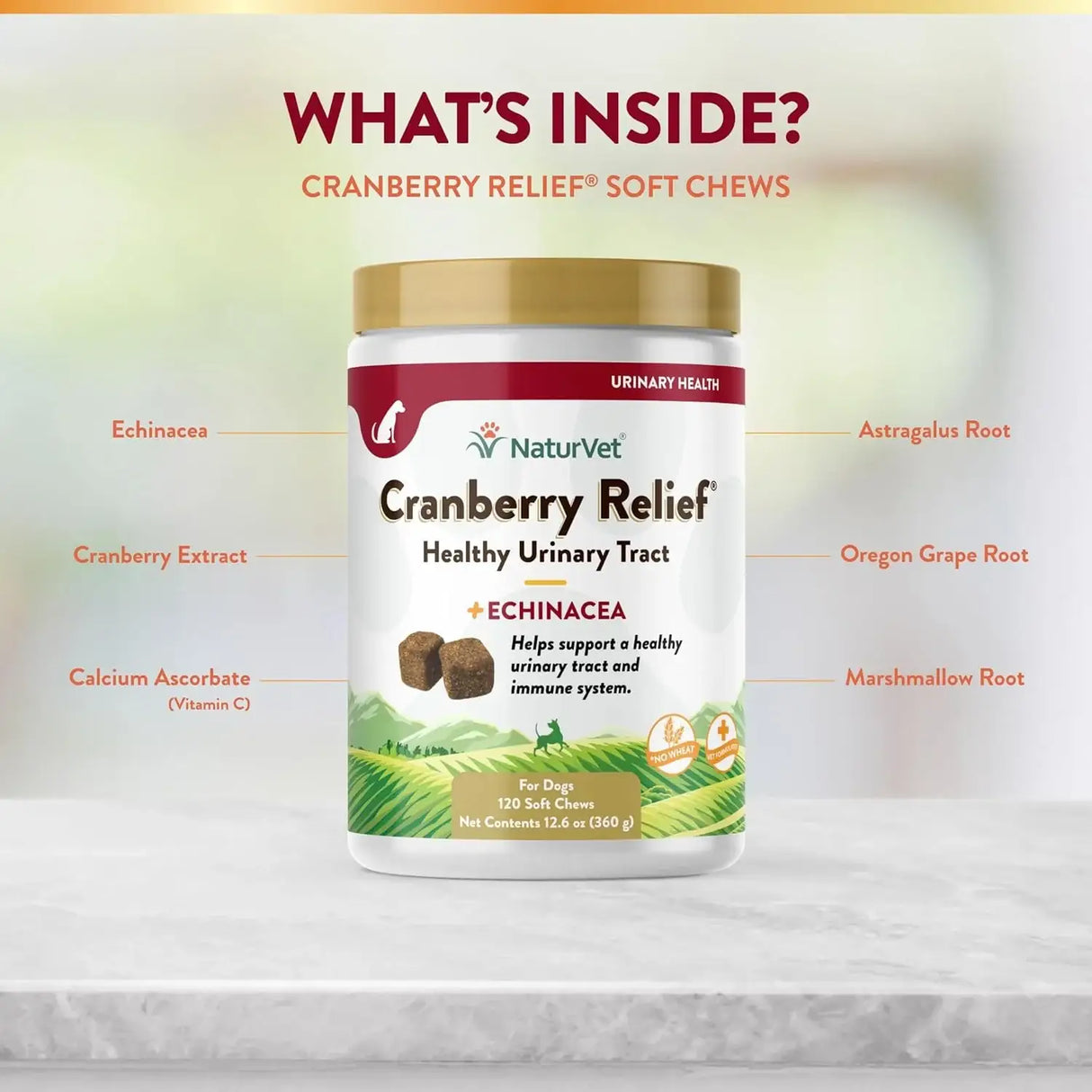 NATURVET - NaturVet Cranberry Relief Plus Echinacea 120 Masticables - The Red Vitamin MX - Salud De Tracto Urinario Para Perros - {{ shop.shopifyCountryName }}