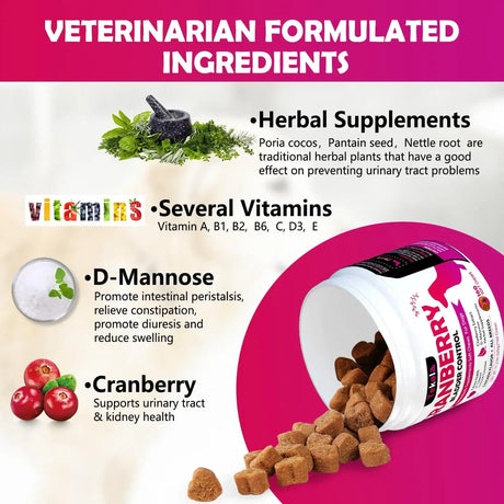 TEKOLA - Tekola Cranberry Bladder Health for Dogs 160 Masticables - The Red Vitamin MX - Salud De Tracto Urinario Para Perros - {{ shop.shopifyCountryName }}
