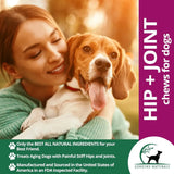 GENUINE NATURALS - Genuine Naturals Hip and Joint Supplement for Dogs 120 Masticables - The Red Vitamin MX - Cuidado De Cadera Y Articulaciones Para Perros - {{ shop.shopifyCountryName }}