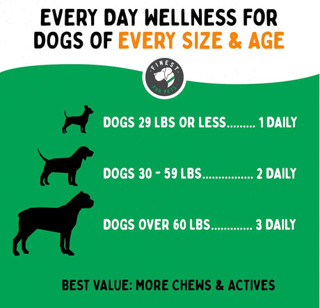 TUMMYWORKS - TummyWorks Probiotic Soft Chews for Dogs 120 Masticables - The Red Vitamin MX - Probióticos Para Perros - {{ shop.shopifyCountryName }}