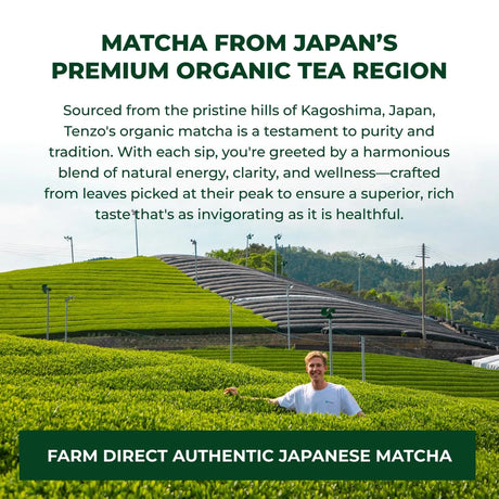 TENZO - Tenzo Matcha Green Tea Powder 400Gr. - The Red Vitamin MX - Suplementos Alimenticios - {{ shop.shopifyCountryName }}