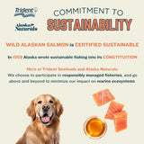 ALASKA NATURALS - Alaska Naturals Wild Alaskan Salmon Fish Oil 15.5 Fl.Oz. - The Red Vitamin MX - Aceite De Pescado Para Perros - {{ shop.shopifyCountryName }}