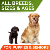 STRELLALAB Pumpkin Powder for Dogs 8 Oz. 2 Pack