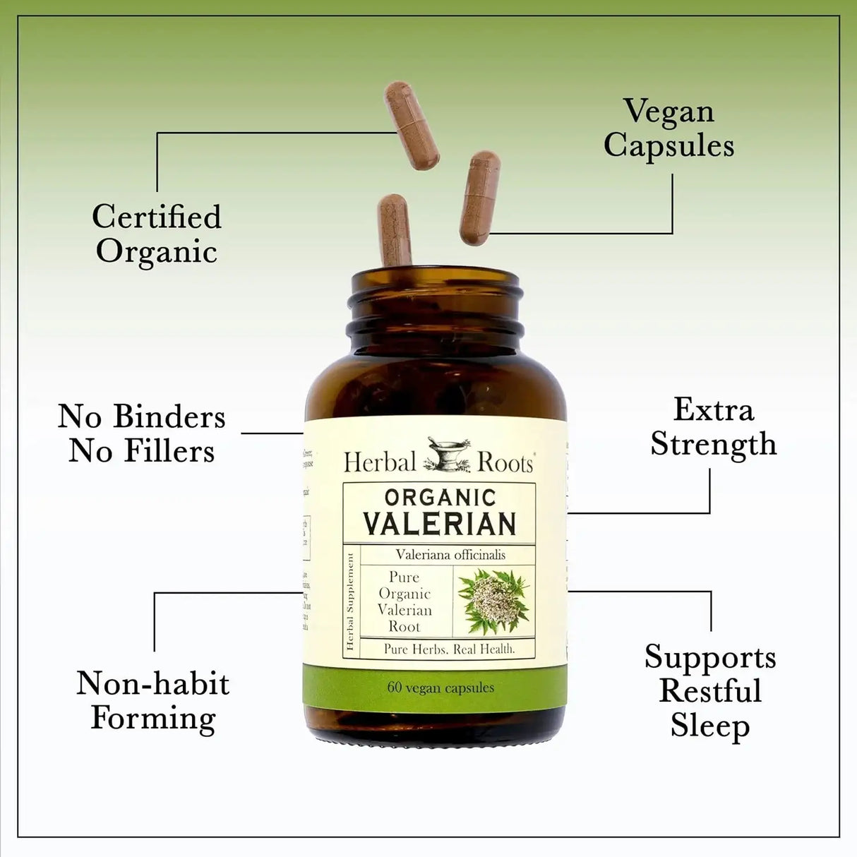 HERBAL ROOTS - Herbal Roots Pure Organic Valerian Root 900Mg. 60 Capsulas - The Red Vitamin MX - Suplementos Alimenticios - {{ shop.shopifyCountryName }}