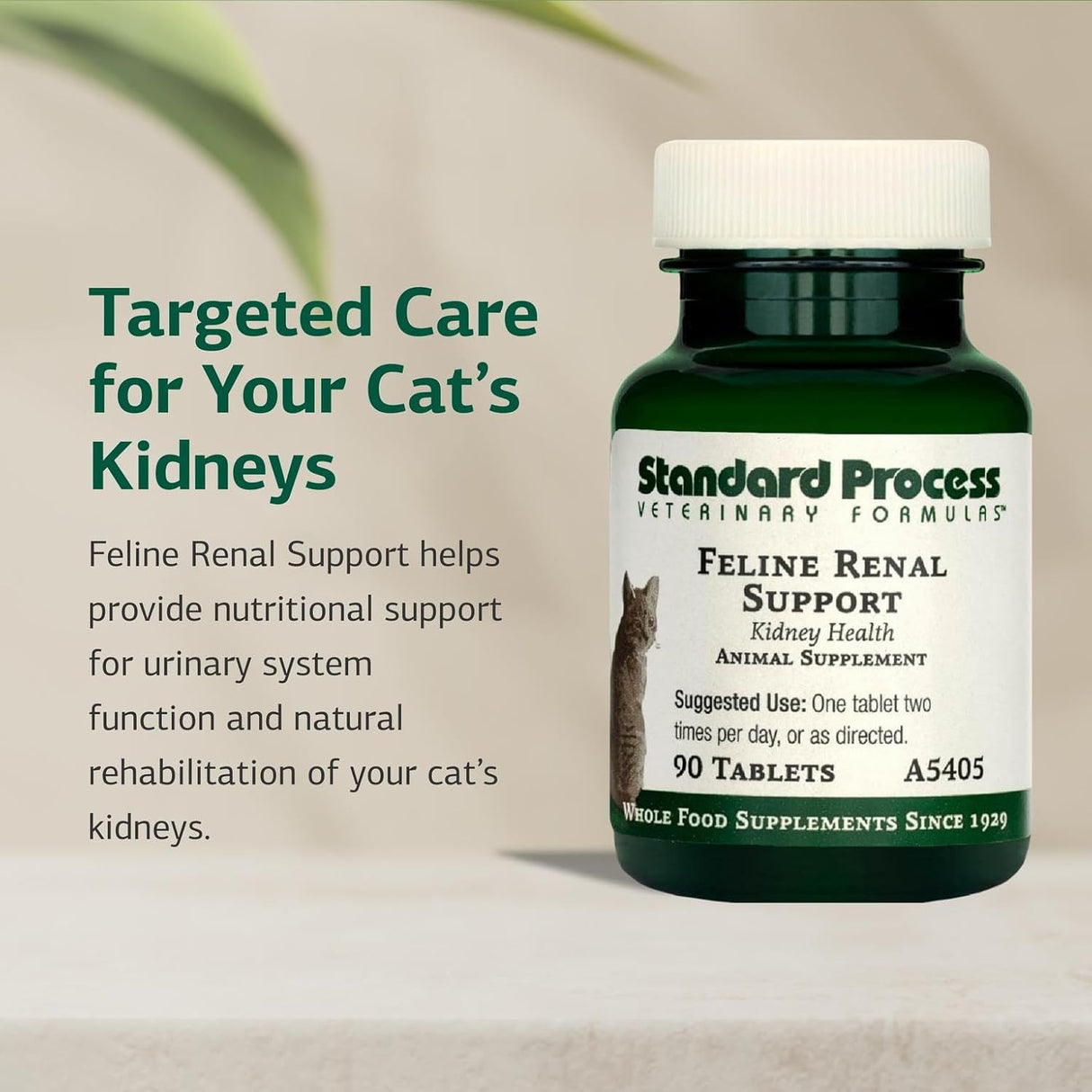 Standard Process Inc. Feline Renal Support 90 Tabletas