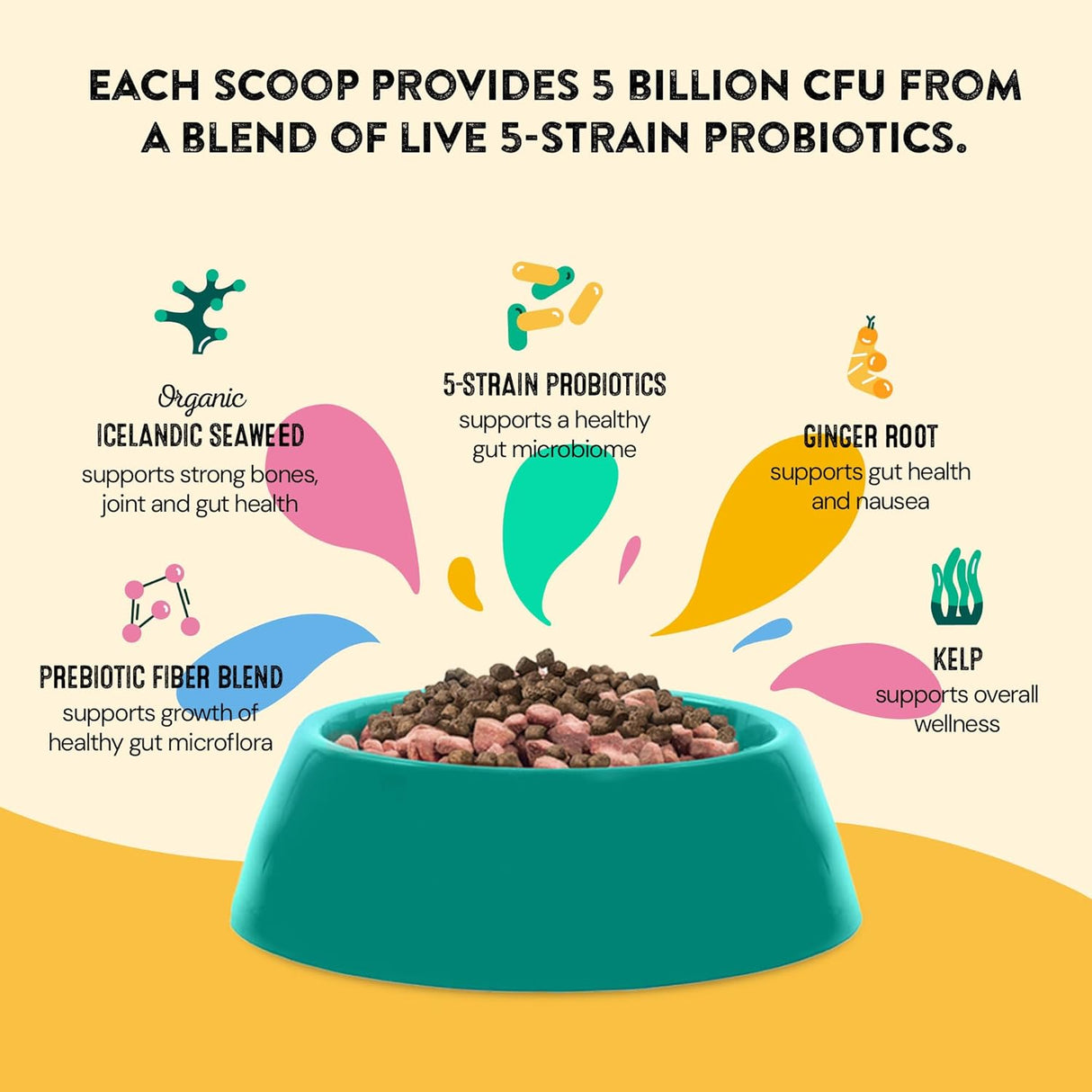 HAPPY GO HEALTHY Dog Gut Health Probiotics Supplement 60 Servicios