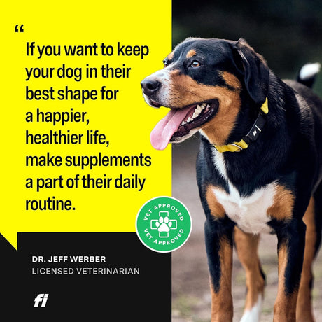 FI - Fi 8-in-1 Dog Supplement Powder 90 Servicios 180Gr. - The Red Vitamin MX - Suplementos Herbales Para Perros - {{ shop.shopifyCountryName }}