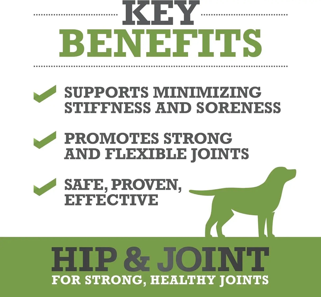 WINPRO - WINPRO Hip & Joint Supplement for Dogs 60 Masticables - The Red Vitamin MX - Cuidado De Cadera Y Articulaciones Para Perros - {{ shop.shopifyCountryName }}
