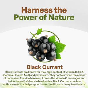 GO NUTRA - Go Nutra Black Currant Powder 1 Lb. - The Red Vitamin MX - Suplementos Alimenticios - {{ shop.shopifyCountryName }}