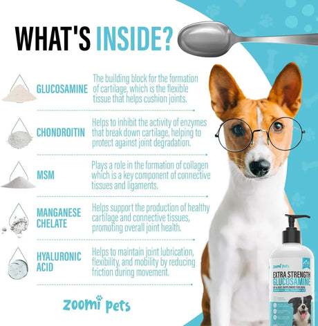 ZOOMI PETS - Zoomi Pets Liquid Glucosamine for Dogs 16 Fl.Oz. - The Red Vitamin MX - Cuidado De Cadera Y Articulaciones Para Perros - {{ shop.shopifyCountryName }}