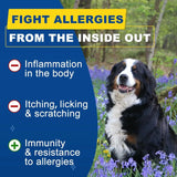 SHINEPAWS - SHINEPAWS Dog Allergy Relief Chews 120 Masticables - The Red Vitamin MX - Remedios Para La Picazón De Perros - {{ shop.shopifyCountryName }}